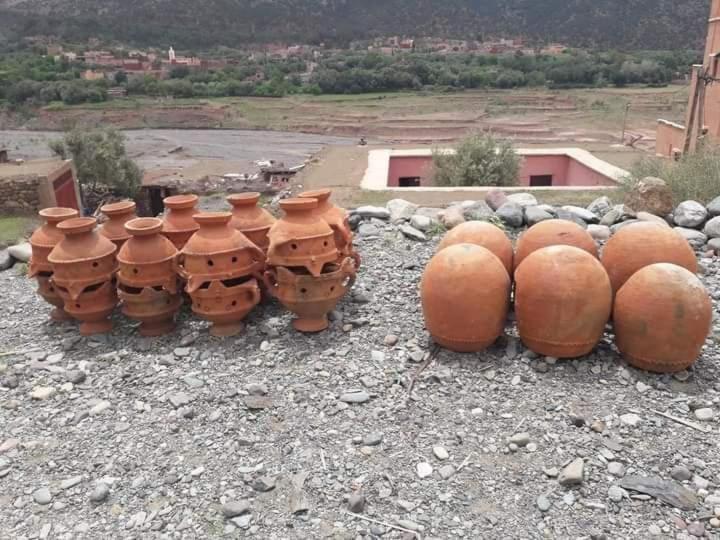 Riad Idar ويرڭان المظهر الخارجي الصورة