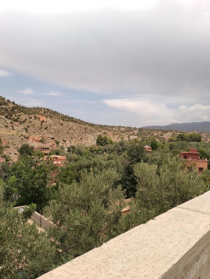 Riad Idar ويرڭان المظهر الخارجي الصورة
