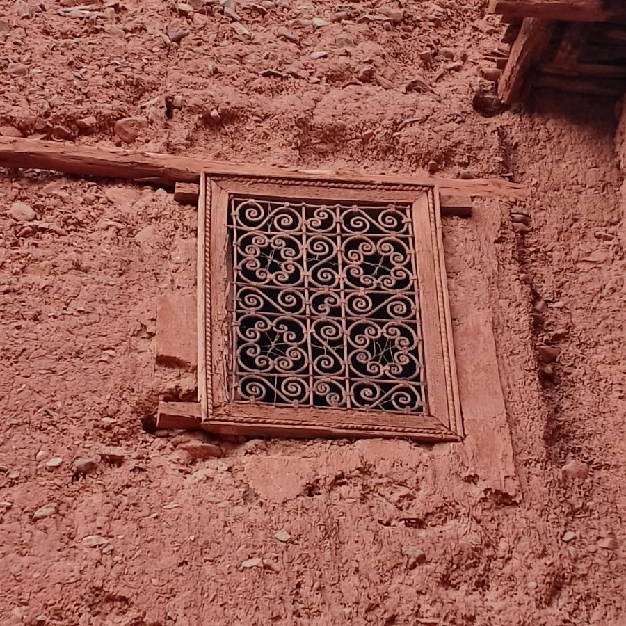 Riad Idar ويرڭان المظهر الخارجي الصورة
