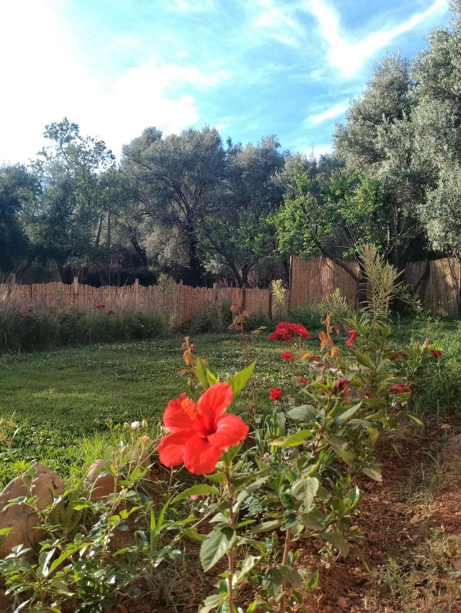 Riad Idar ويرڭان الغرفة الصورة