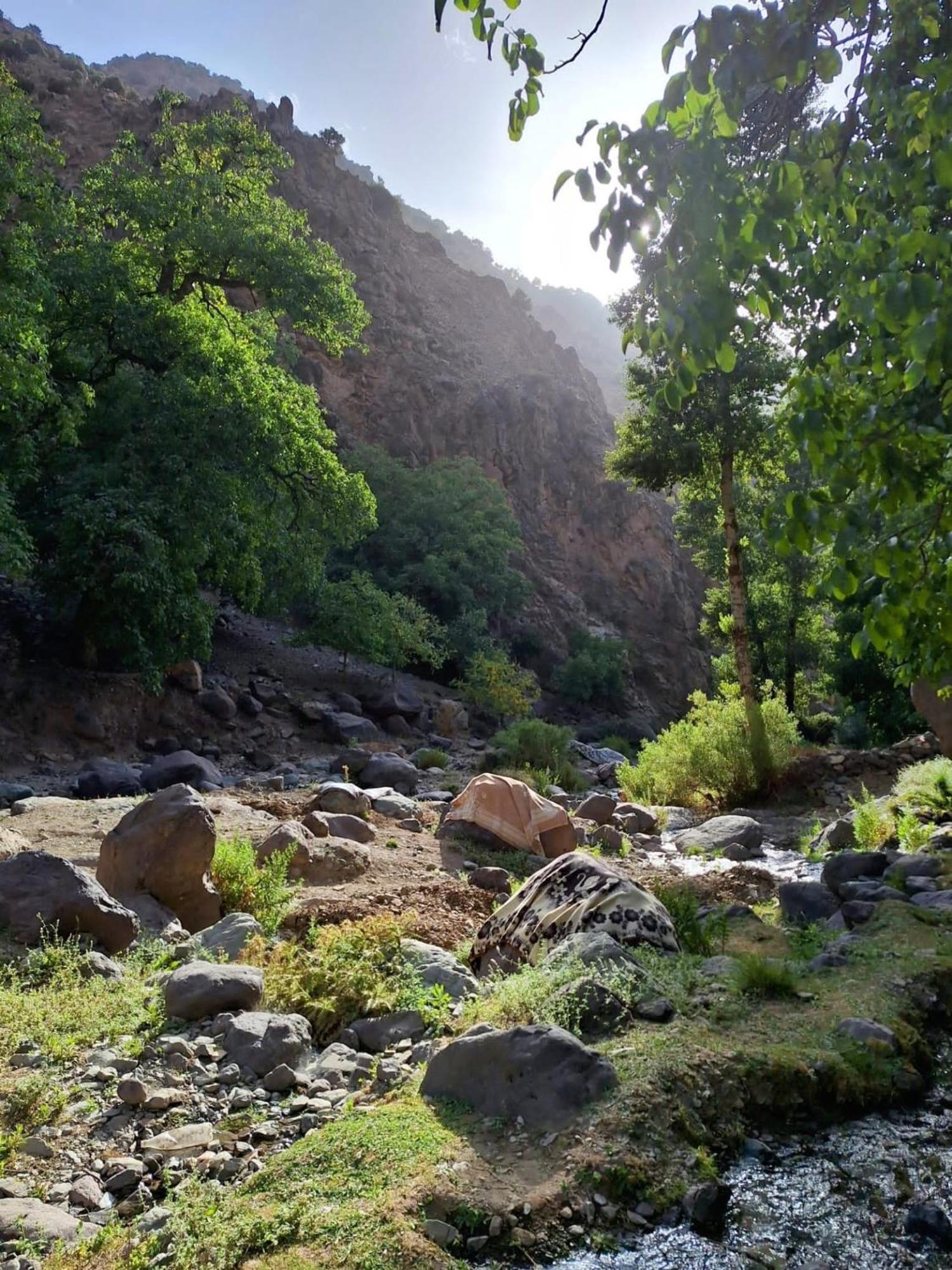 Riad Idar ويرڭان المظهر الخارجي الصورة